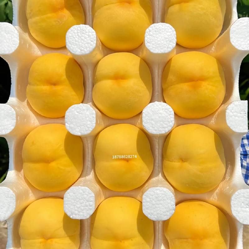 锦绣黄桃/玉屏黄桃