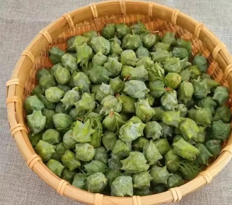 我要卖新鲜柏果