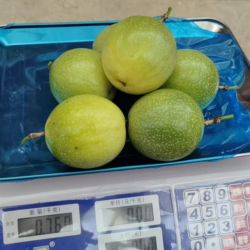 钦蜜九号百香果！