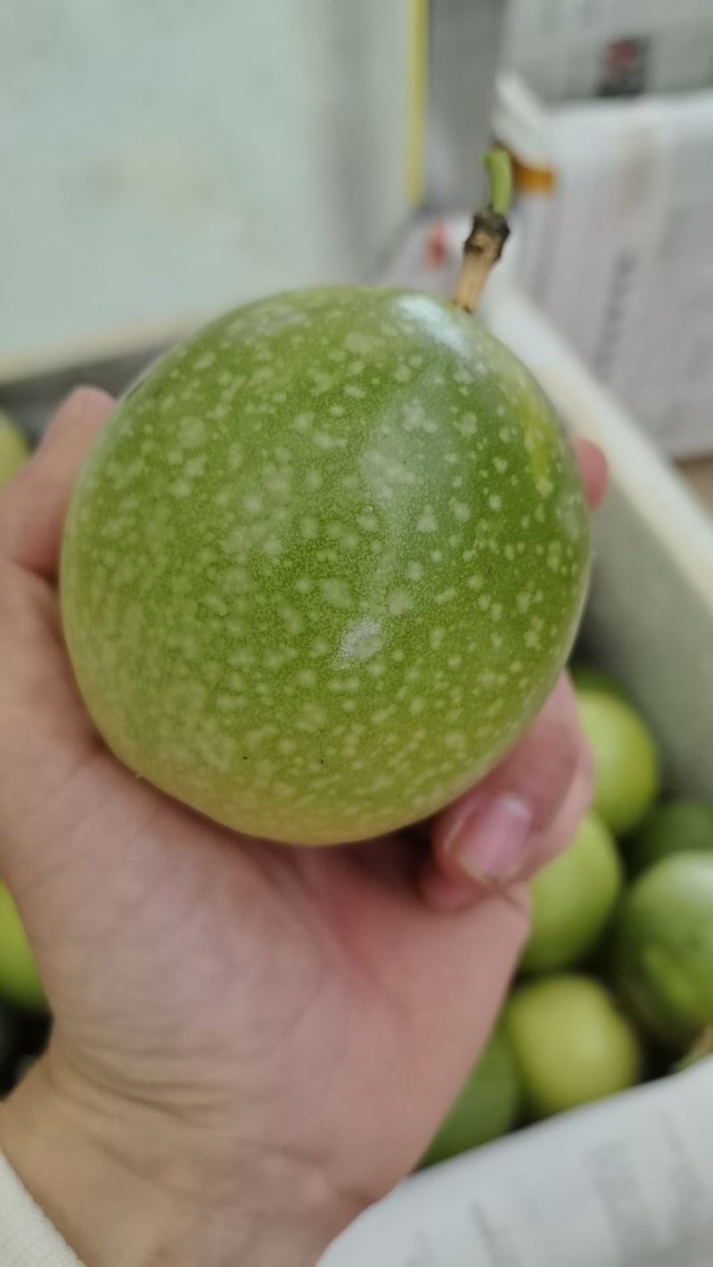 钦蜜九号百香果！