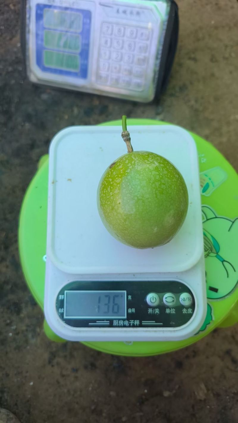 钦蜜九号百香果！