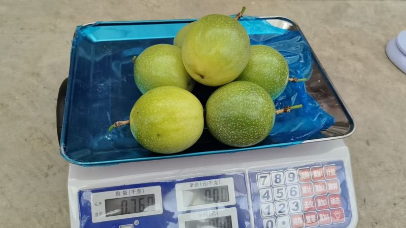 钦蜜九号百香果！