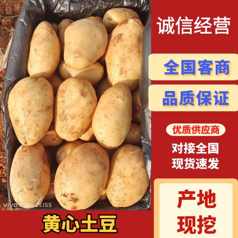 精品河北围场土豆，沃土v7实验一等，新鲜上市产地现挖现卖