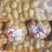 精品河北围场土豆，沃土v7实验一等，新鲜上市产地现挖现卖
