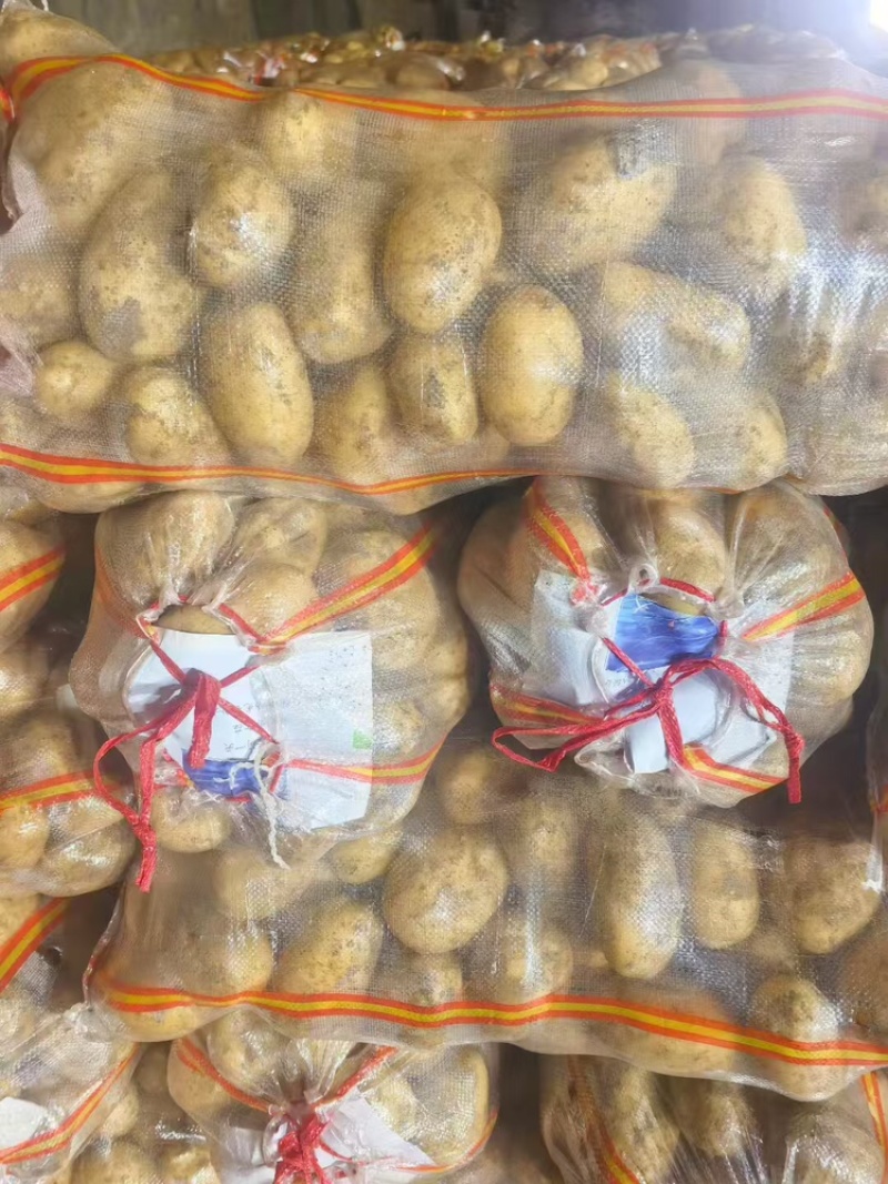 精品河北围场土豆，沃土v7实验一等，新鲜上市产地现挖现卖