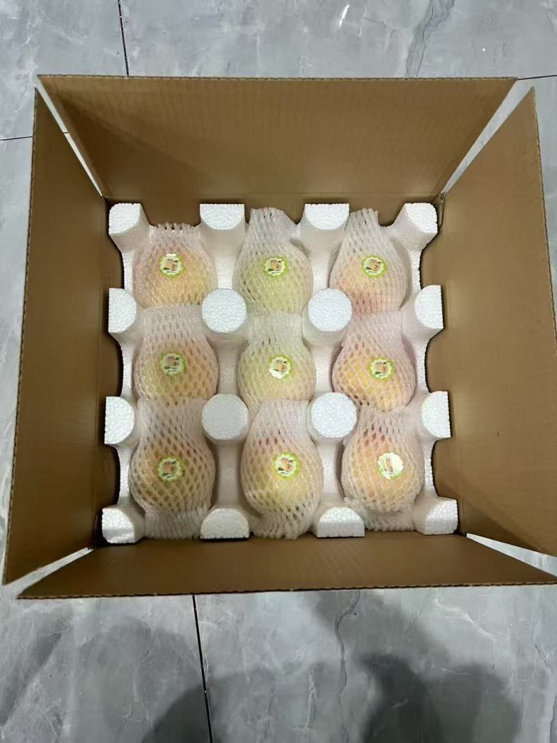 江苏阳山袋水蜜桃大量上市中，产地一手货源，视频看货