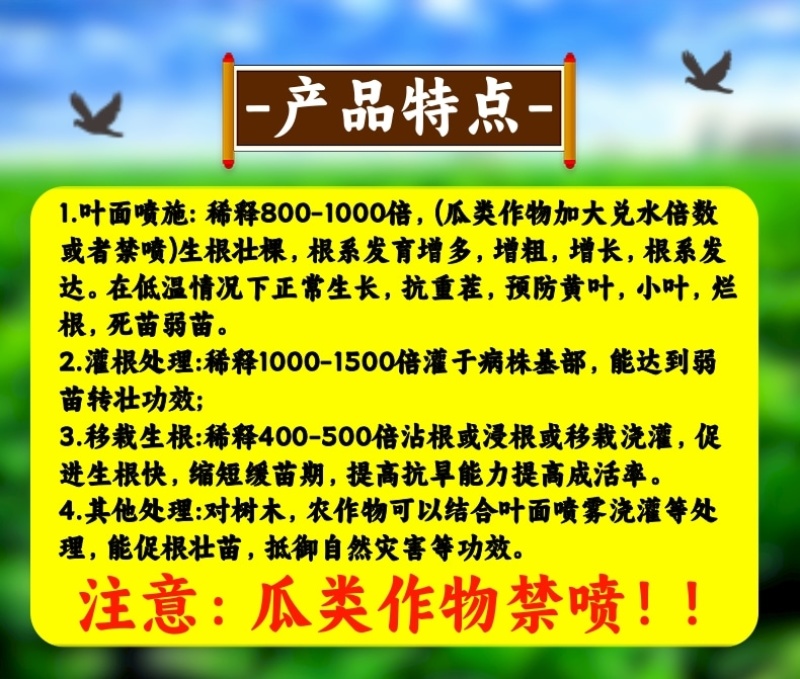 甲壳素根多生根剂生根绿叶促根壮苗健壮植株1000克