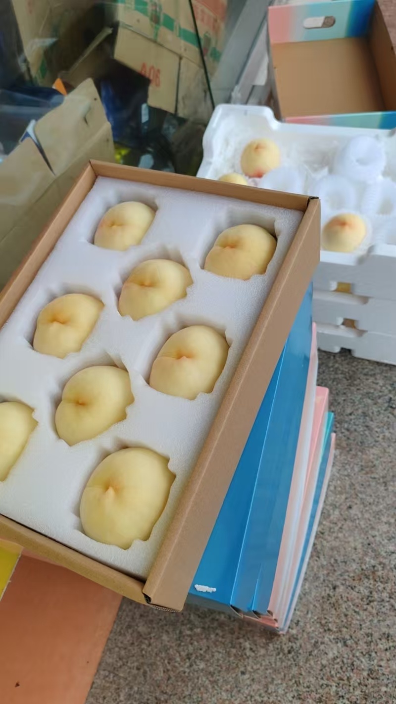 江苏白桃新白凤大量上市中，产地一手货源直发，视频看货