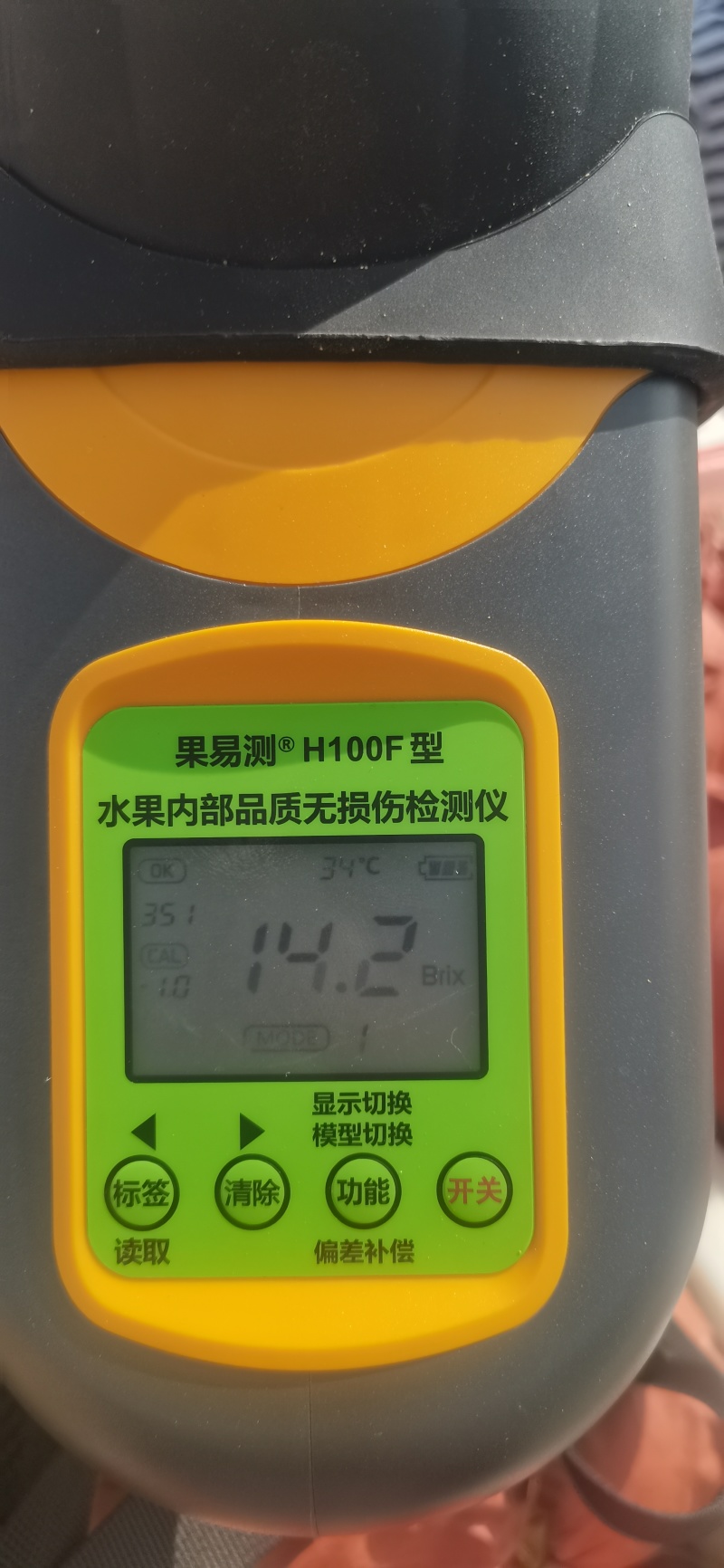 秋月梨上市了，全年有不同品种的梨供应。