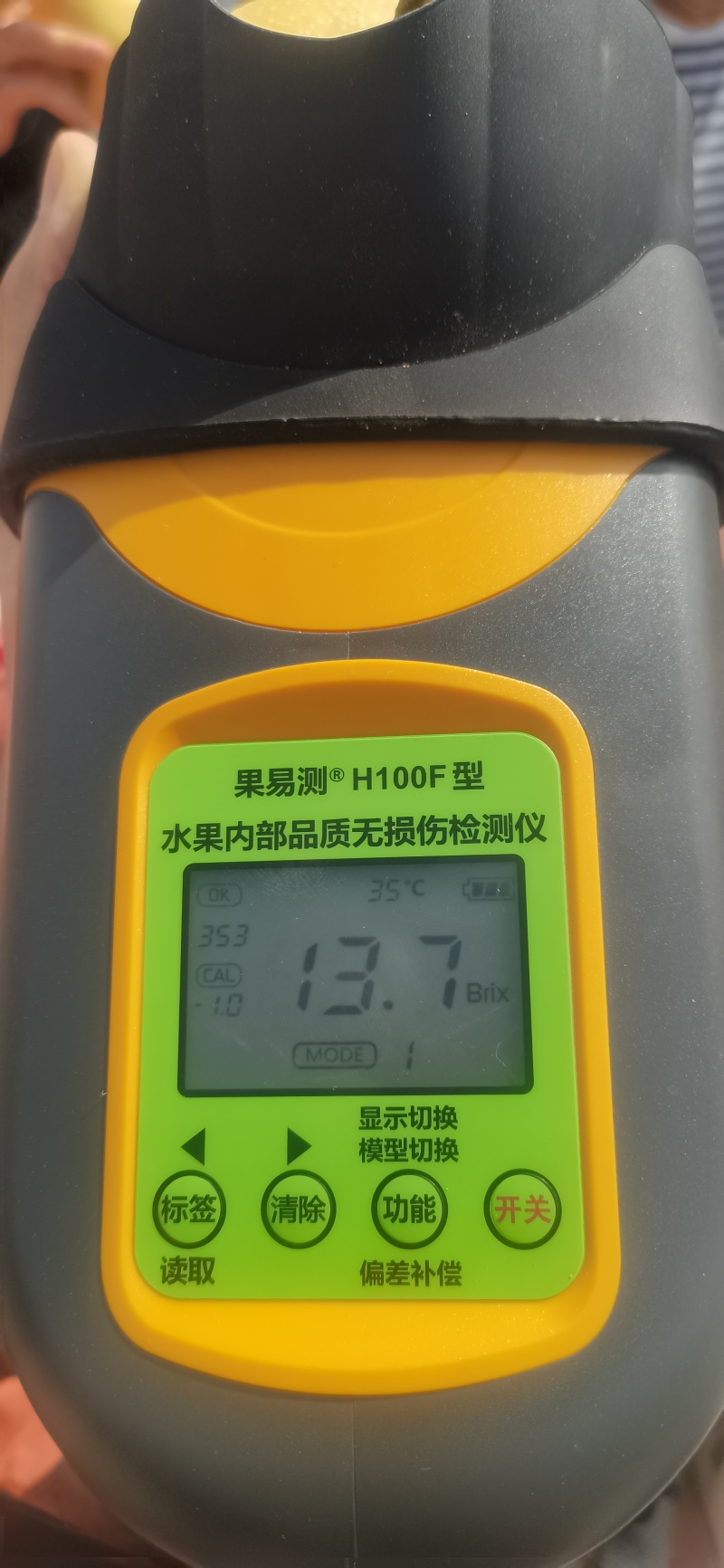 秋月梨上市了，全年有不同品种的梨供应。