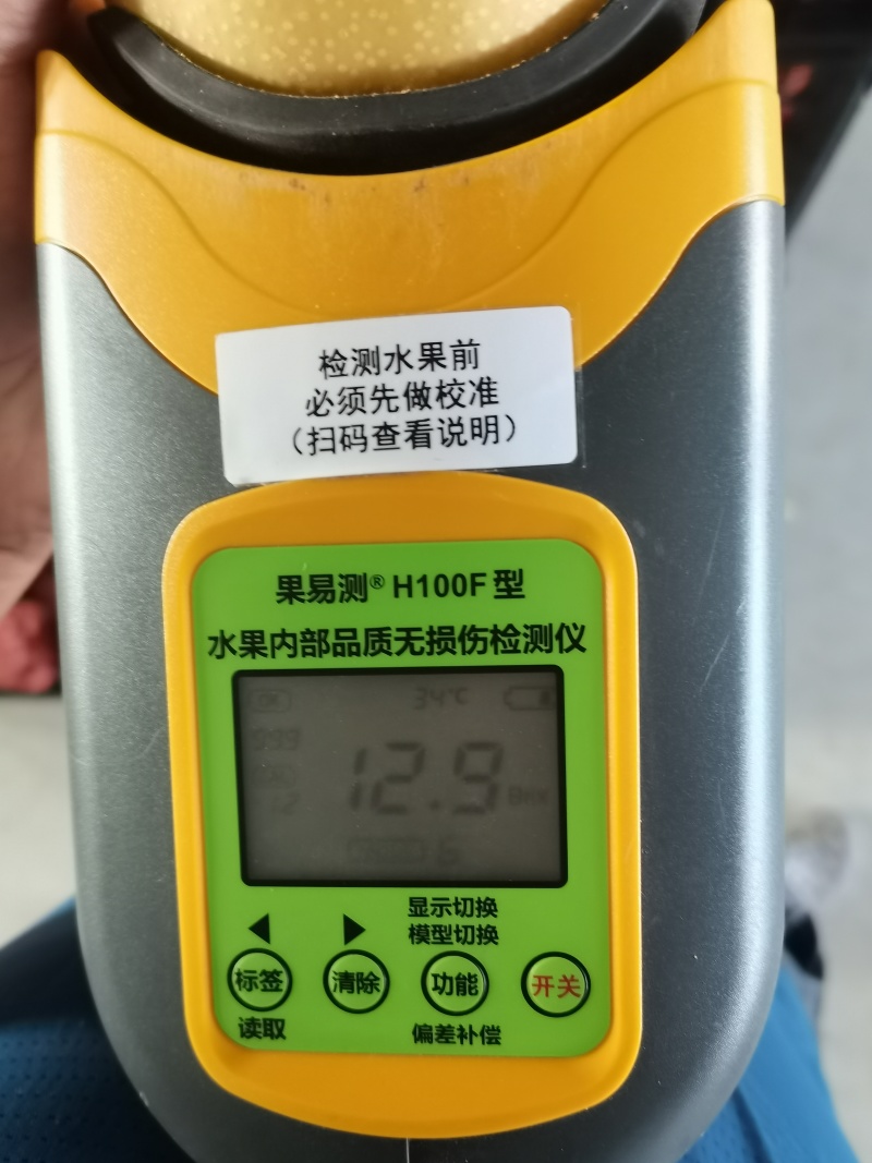 秋月梨上市了，全年有不同品种的梨供应。