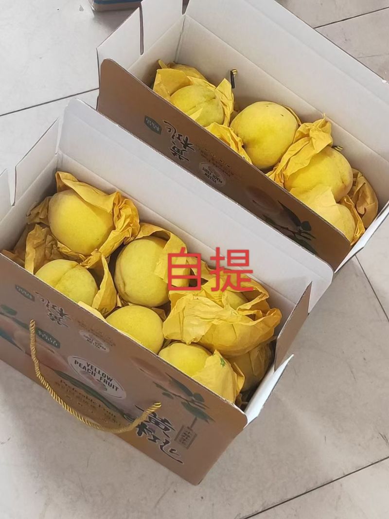 嵊州高山锦绣黄桃