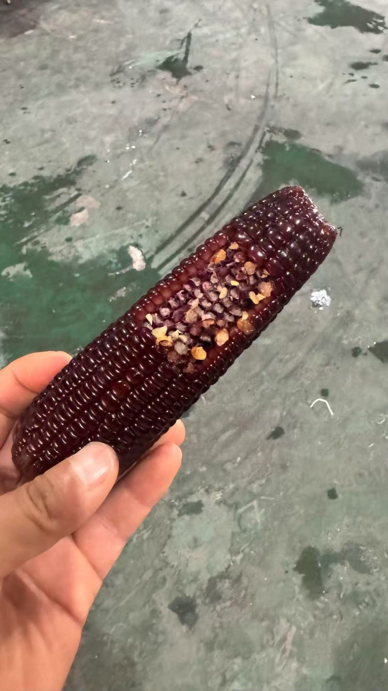 真空黄糯玉米