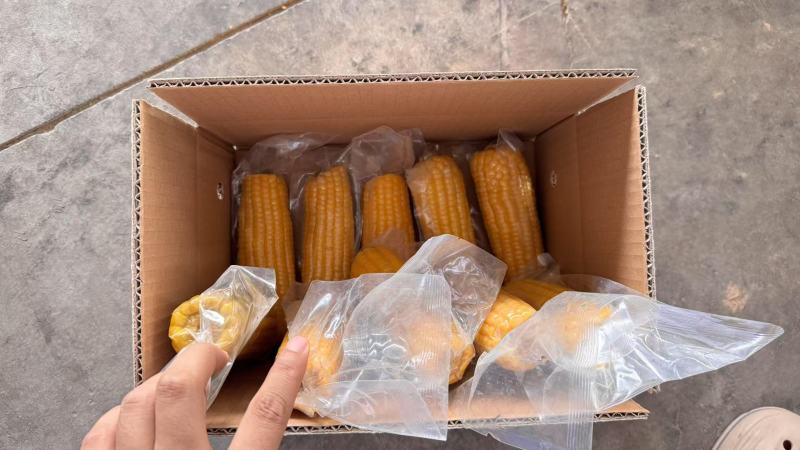 真空黄糯玉米