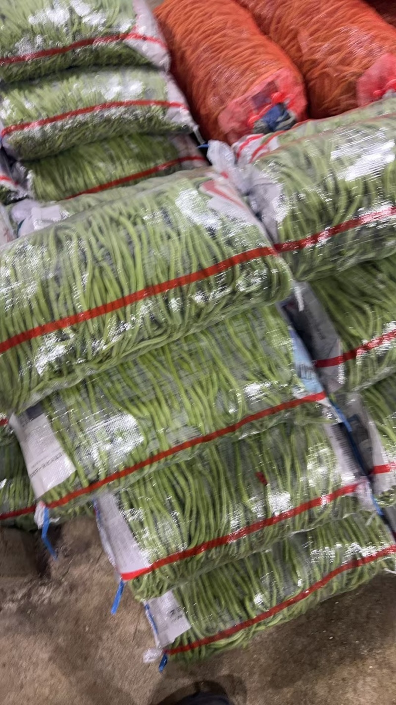 精品豆角