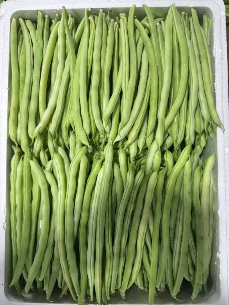 精品豆角