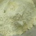 冻干榴莲粉