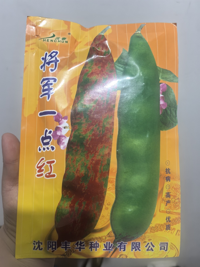 油豆种子将军一点红豆角种子