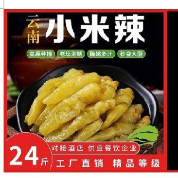 【泡菜】