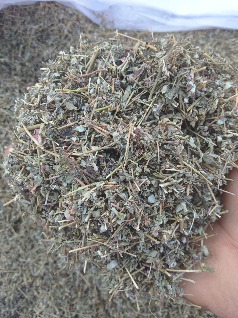 地锦草，花单被，地锦草片，支持定制。安徽亳州一手货源