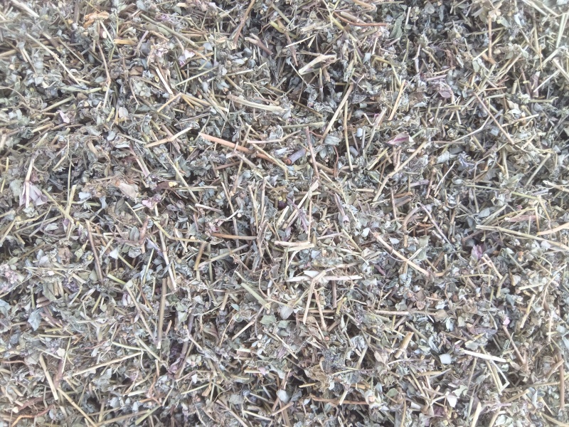 地锦草，花单被，地锦草片，支持定制。安徽亳州一手货源