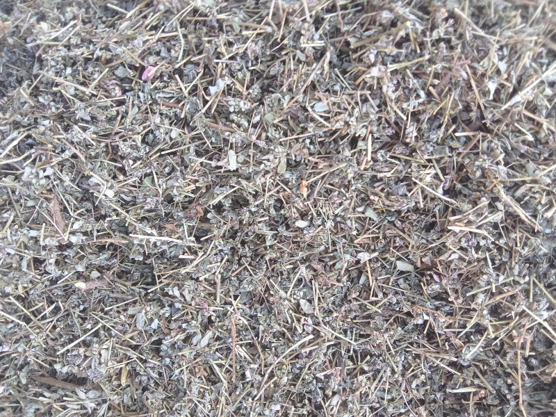 地锦草，花单被，地锦草片，支持定制。安徽亳州一手货源