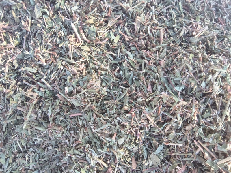 萹蓄段，猪牙草，萹蓄片一手货源支持零售批发货源充足