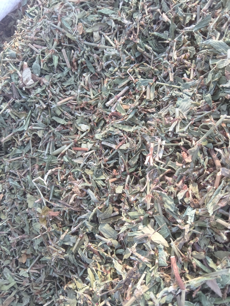 萹蓄段，猪牙草，萹蓄片一手货源支持零售批发货源充足