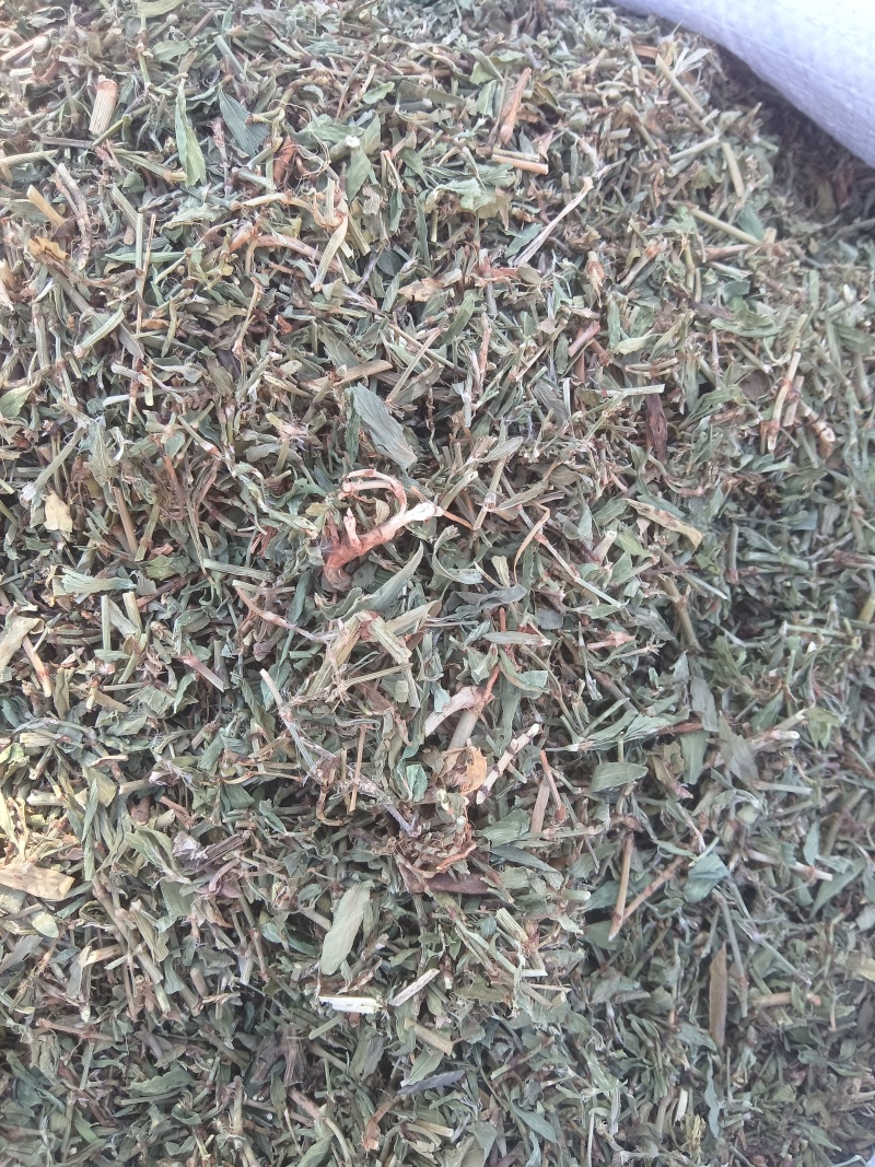 萹蓄段，猪牙草，萹蓄片一手货源支持零售批发货源充足