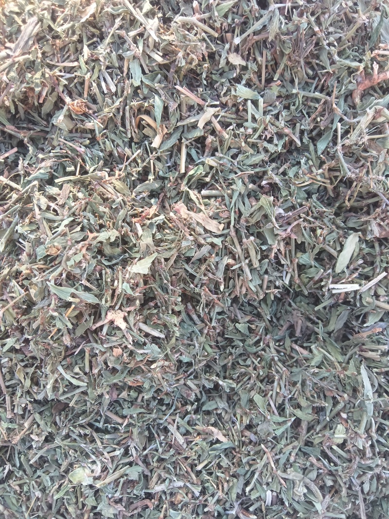 萹蓄段，猪牙草，萹蓄片一手货源支持零售批发货源充足