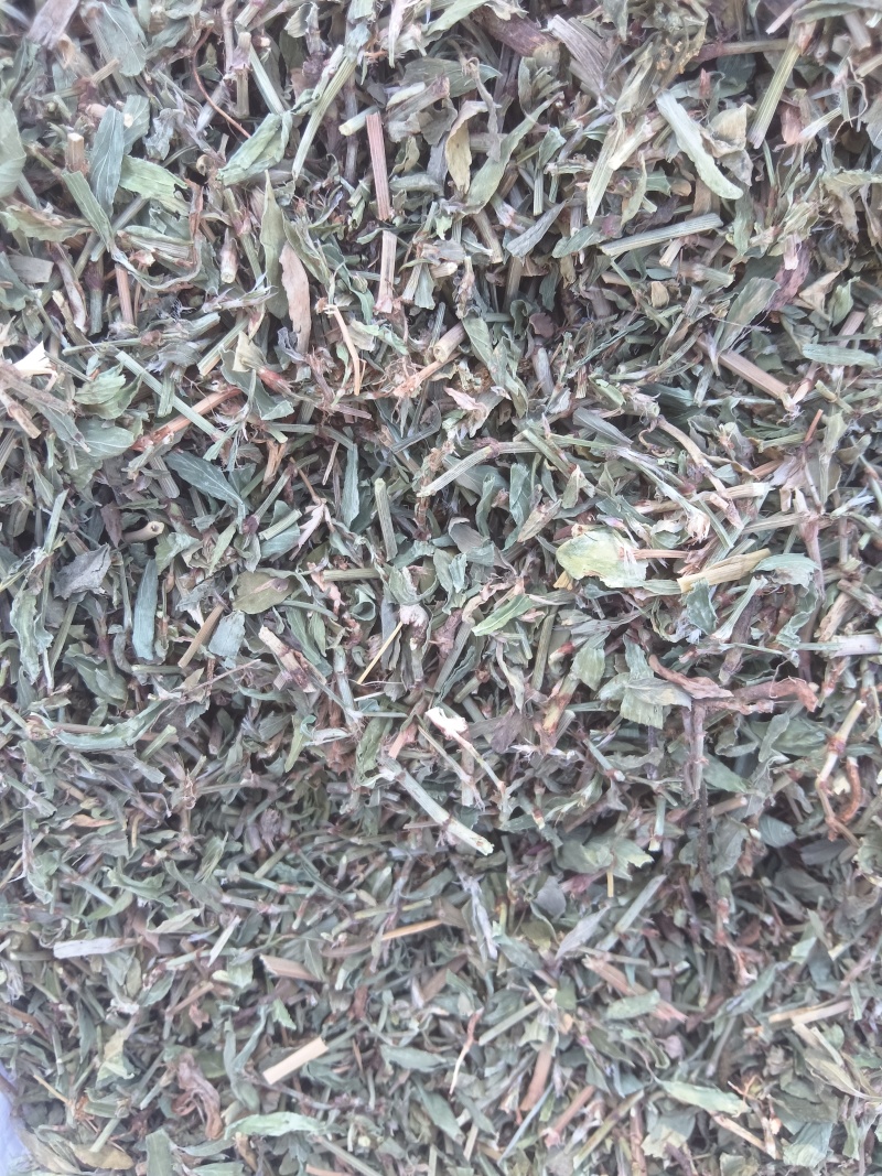 萹蓄段，猪牙草，萹蓄片一手货源支持零售批发货源充足
