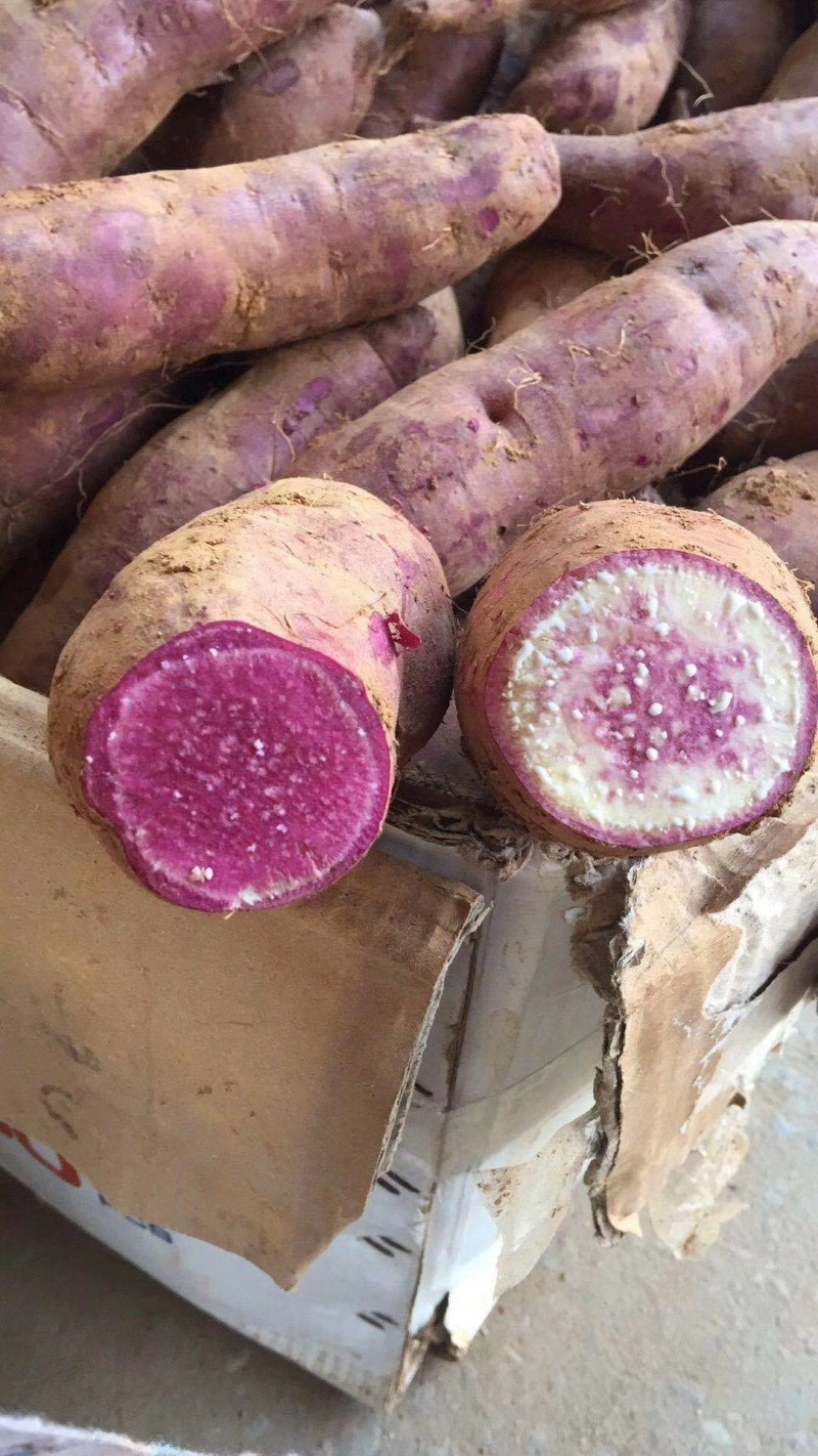 冰淇淋红薯，西瓜红，小香薯