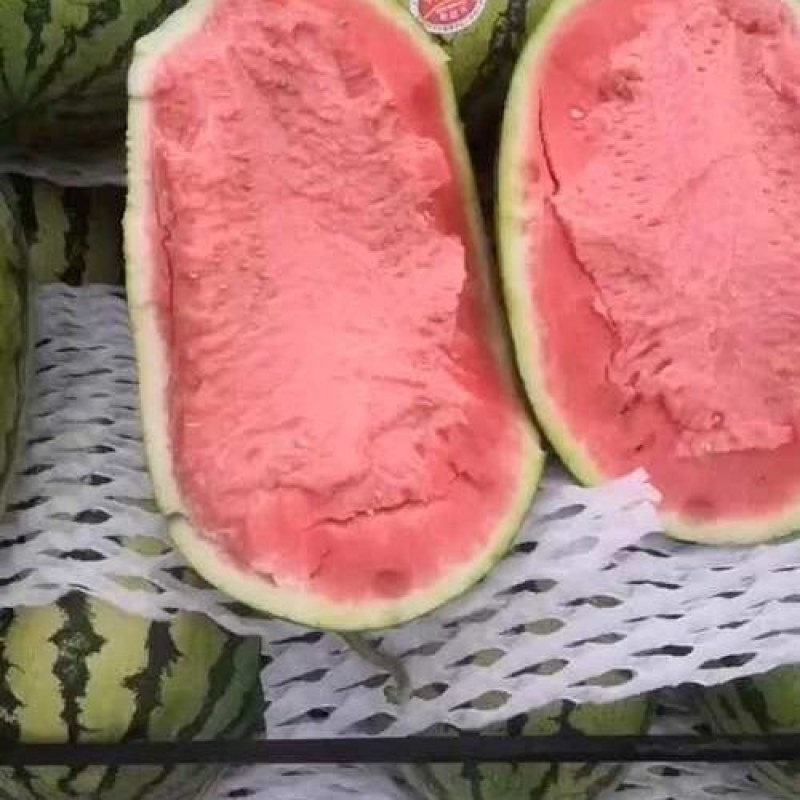 甘肃石头瓜