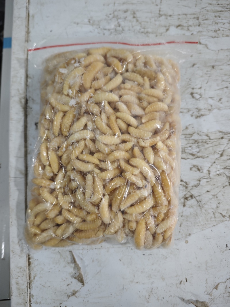 一二级蜂蛹批发量大从优