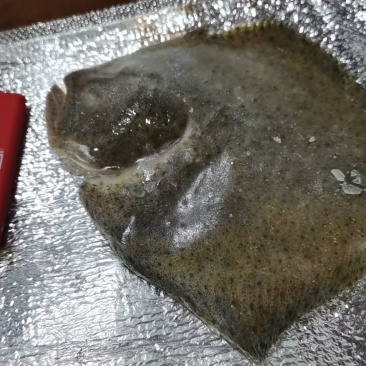 冻品，调理品