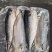 冻品，调理品