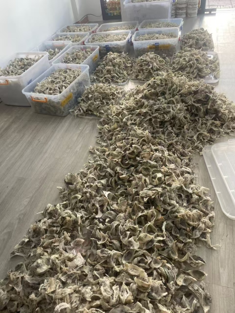 印尼优质精品燕窝