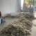 印尼优质精品燕窝