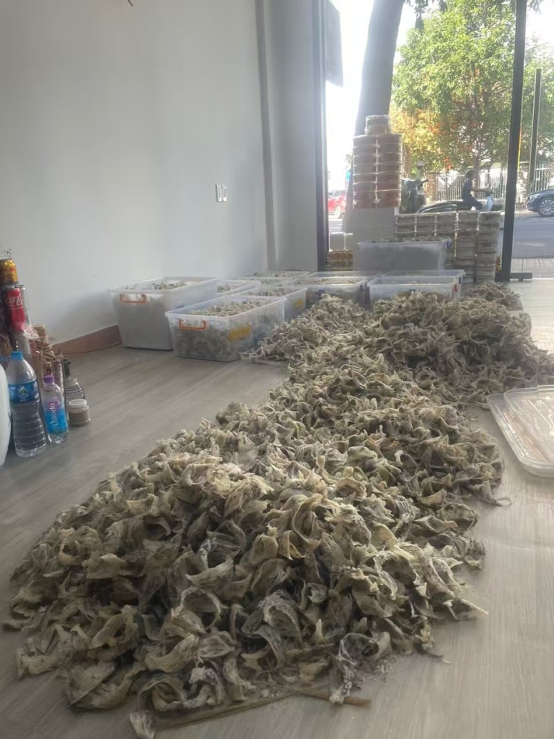 印尼优质精品燕窝
