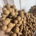 储良龙眼，火爆上市，质量好，售后无忧服务，欢迎合作共赢