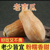 四川蜜本南瓜软糯香甜产地直发对接市场商超