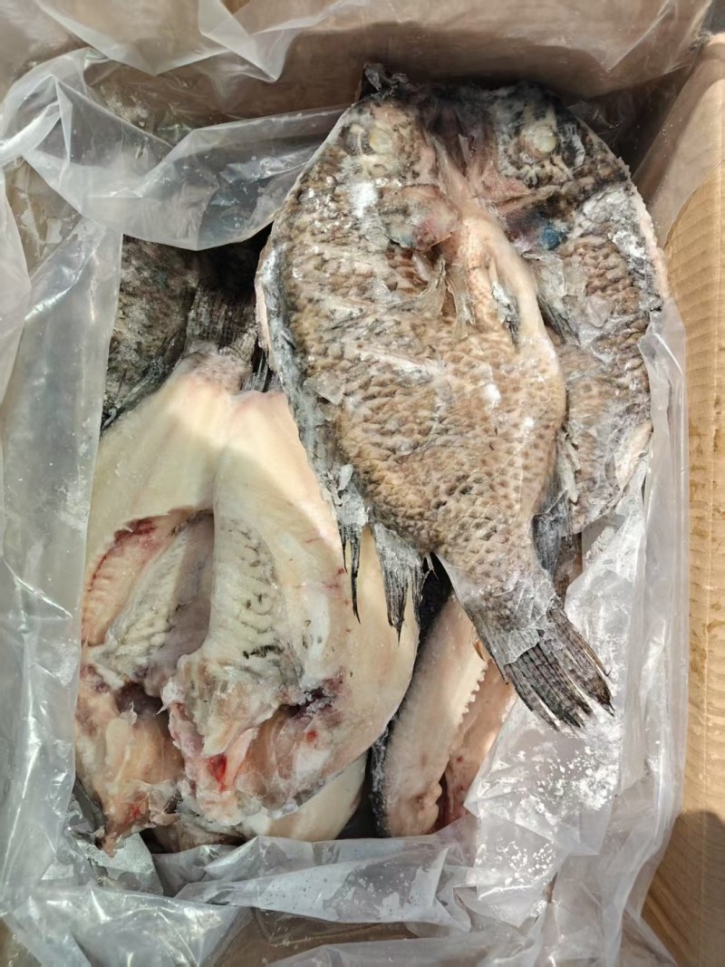 开背(罗非鱼)