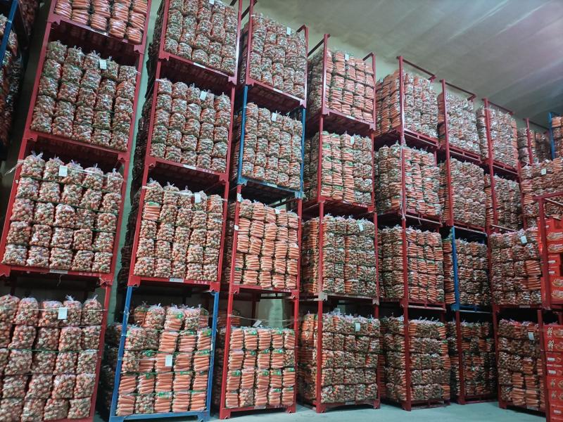 水洗胡萝卜开封通许胡萝卜货量充足对接全国市场电商商超