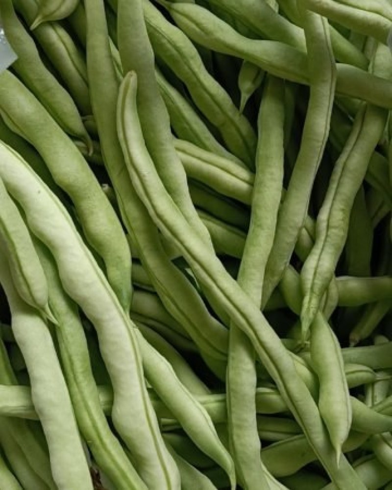 农家肥豆角