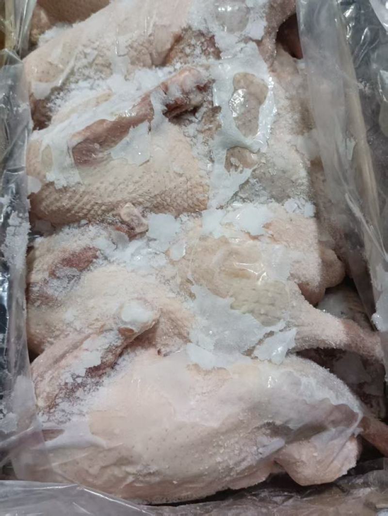 半片鸭
