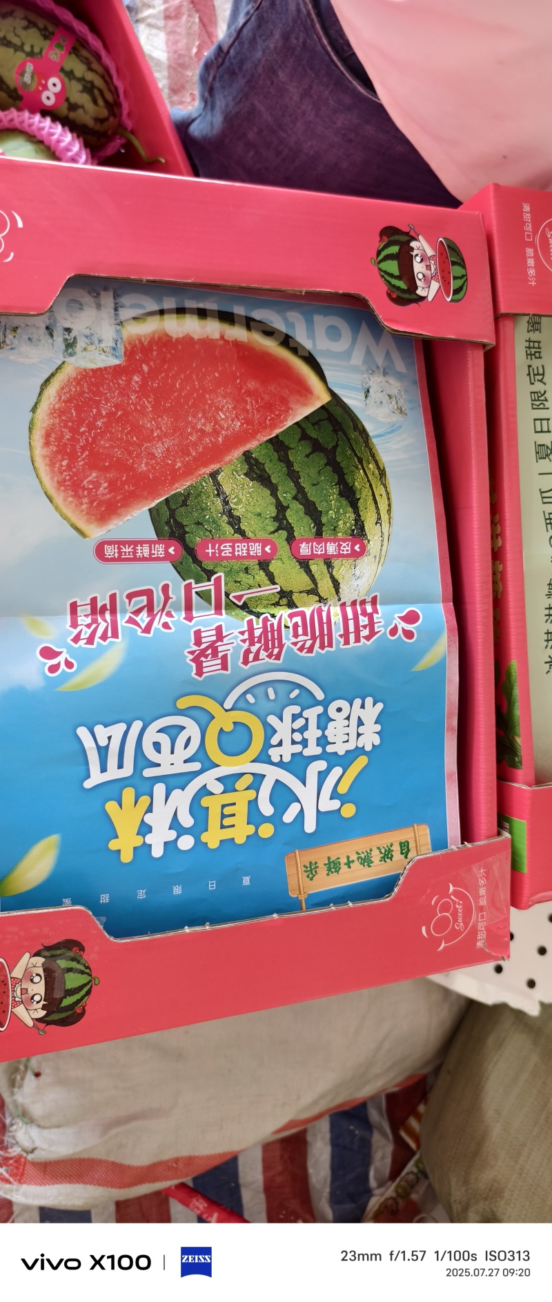 河南滑县小吊瓜，冰糖丸，2k，小西瓜上市中，产地直发