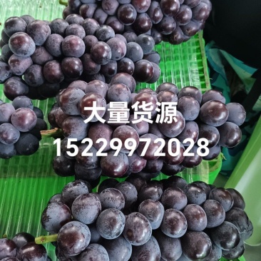 巨峰葡萄