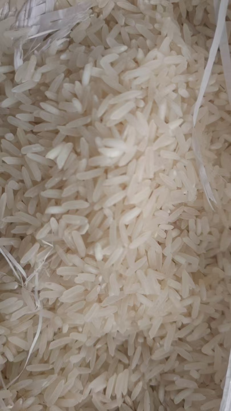 泰国香米（缅甸产）现货2400吨100斤白包装