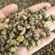 胎菊胎菊米新货多种规格有货供应七彩百草中药材批发