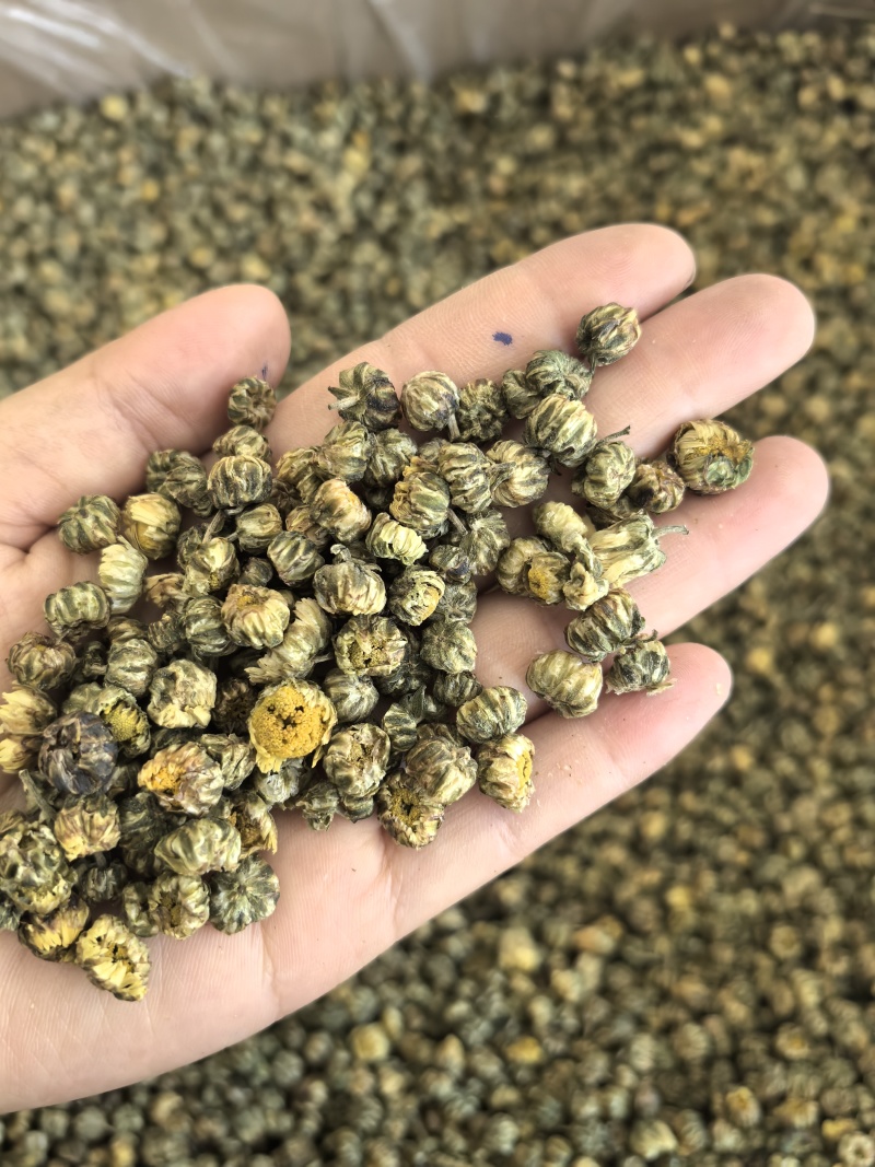 胎菊胎菊米新货多种规格有货供应七彩百草中药材批发